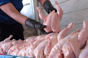 افزایش خودسرانه قیمت مرغ در بازار‌های گیلان