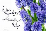 پیام مجتبی وهابی مشاور استاندار گیلان  به مناسبت نوروز