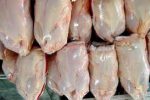ذخیره ۲ هزار تن مرغ منجمد در گیلان