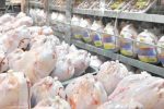صادرات ۱۰۰هزار تنی گوشت مرغ از استان گیلان