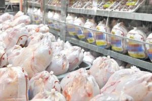 صادرات ۱۰۰هزار تنی گوشت مرغ از استان گیلان