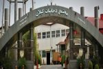 نماینده رشت خطاب به وزیر تعاون: وضعیت شرکت دخانیات گیلان اسفبار است