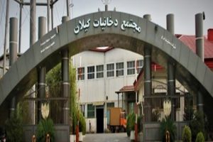 نماینده رشت خطاب به وزیر تعاون: وضعیت شرکت دخانیات گیلان اسفبار است