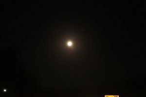 تا ۱۹ سال دیگر چنین تصاویری نخواهید دید