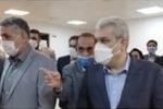 ستاری: شرکت‌های دانش‌بنیان و خلاق استان رشد دو برابری را تجربه کردند