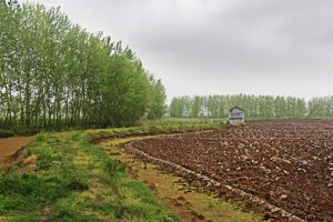 افزایش درآمد کشاورزان با تحول در اقتصاد روستا