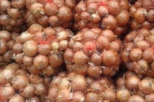 یک ماده غذاییِ ضد سرطان را بشناسیم