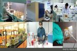 اقدام برای تاسیس شرکت دانش‌بنیان،لزوم توانمندسازی پژوهشگاه‌ها برای انجام پژوهش‌های محصول‌محور