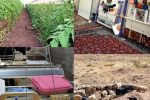 پررداخت ۱۱۰ میلیارد تومان تسهیلات به طرح‌های اشتغال‌زایی گیلان/ دوهزار و ۸۰۰ نفر صاحب شغل شدند