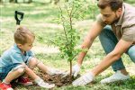 درخت دوستی بنشان که کام دل به بار آرد