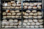 توزیع گوشت و مرغ منجمد در گیلان