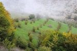 بیش از یک هزار هکتار از اراضی ملی و منابع طبیعی گیلان آزاد شد / بخش خصوصی ظرفیتی بالقوه برای صیانت و بازآفرینی منابع طبیعی
