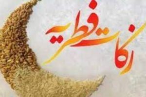 اعلام مبلغ فطریه بر اساس غذای غالب خانوار