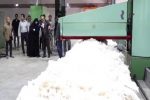 قدم به قدم برای تحقق رشد تولید