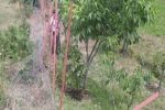 آزادسازی ۱۵ هکتار از اراضی سفیدرود