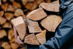 گردش مالی ۱۰۰ میلیارد تومانی تجارت چوب در گیلان