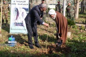 طرح مردمی کاشت نهال در گیلان اجرایی شد