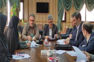 نقش تغییر سبک زندگی در افزایش سقطجنین/ کنترل سقط در گیلان دشوار اما ممکن است