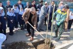 بازکاشت نهال بومی با حضور رئیس کمیسیون محیط زیست شورا و شهردار رشت/ کاشت ۱۸ هزار نهال بومی گیلان در رشت/ توزیع ۱۰ هزار نهال بین شهروندان
