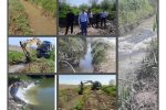 لایروبی مسیرهای انتقال آب کشاورزی در محلات منطقه آزاد انزلی