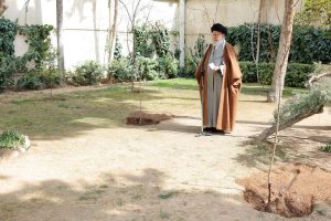 رهبر انقلاب:نهضت ملی درختکاری جدی گرفته شود و ادامه یابد
