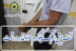 کشف بیش از ۱ کیلوگرم مواد مخدر در رشت