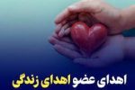 هدیه زندگی در سایه مرگ؛ نوزدهمین اهدای عضو استان گیلان در سال جاری محقق شد