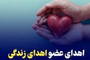 هدیه زندگی در سایه مرگ؛ نوزدهمین اهدای عضو استان گیلان در سال جاری محقق شد