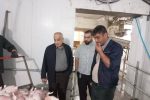 پورحیدری: ادعای افزایش روزانه قیمت مرغ قابل قبول نیست