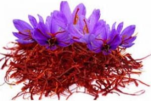 زعفران گیلان کیفیت بسیار خوبی دارد