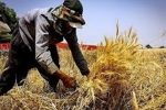 دهیاران به اشتغالزایی در روستاها بپردازند